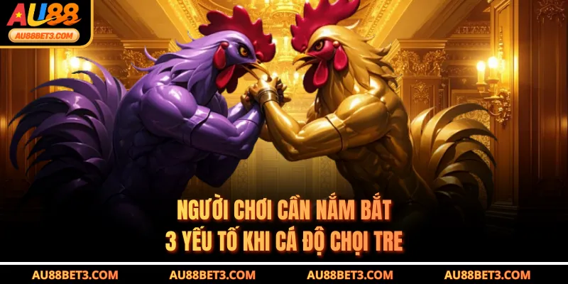 Người chơi cần nắm bắt 3 yếu tố khi cá độ chọi tre
